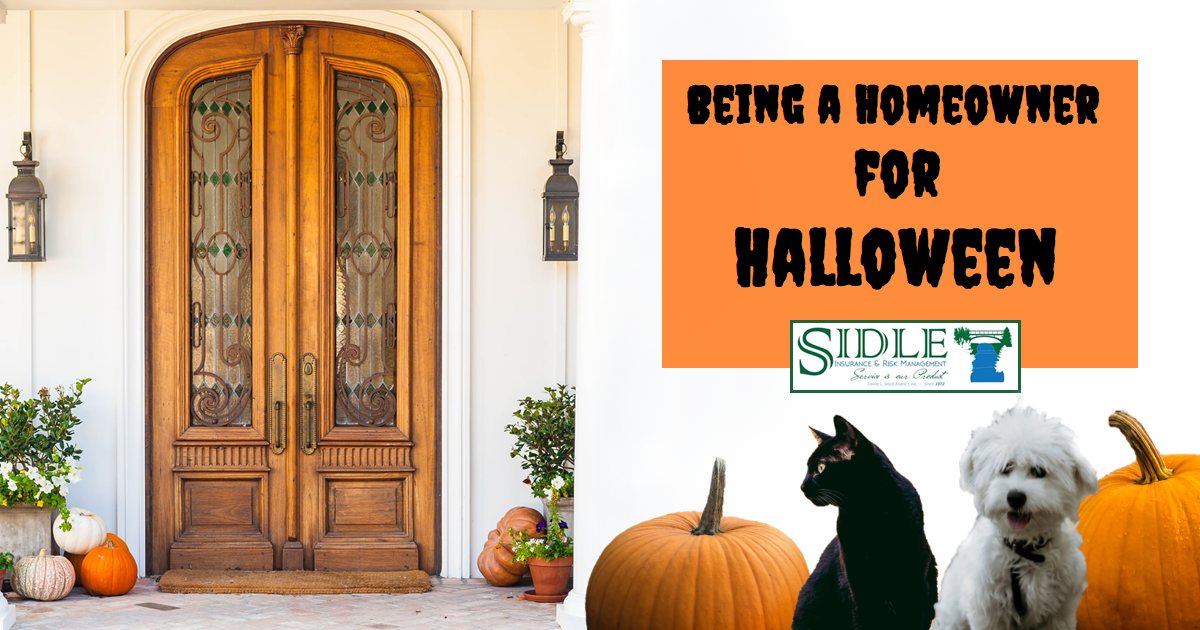 Photo for Being a Homeowner For Halloween Blog