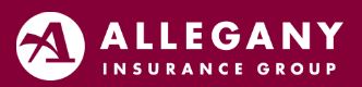 Button to make a payment with Allegany Insurance Group